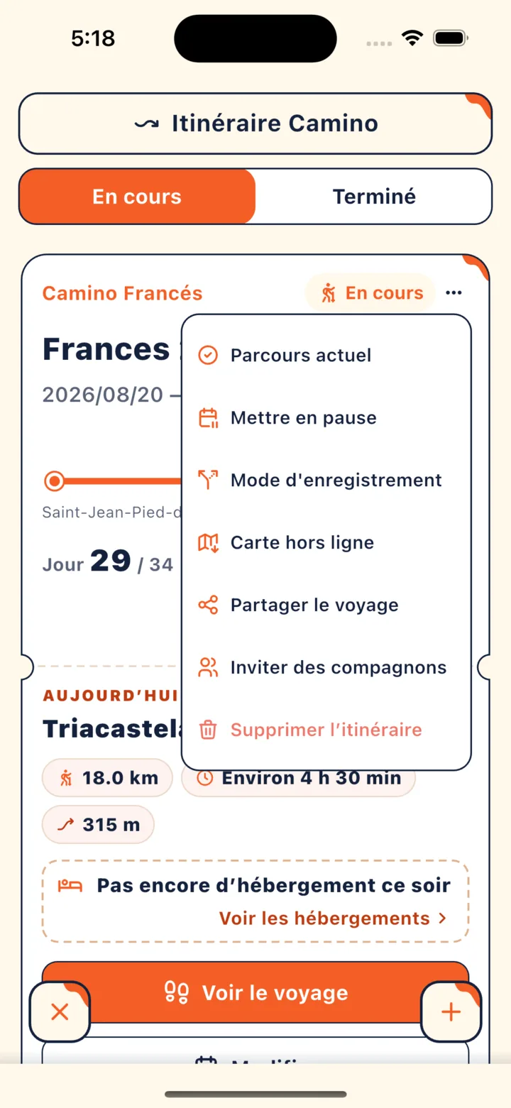Menu ouvert par le bouton « ⋯ » en haut à droite de la carte de l'itinéraire, avec « Carte hors ligne » au milieu