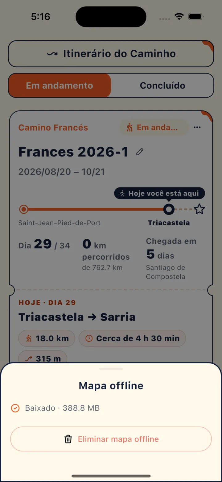 Download concluído: o Caminho Francês completo tem cerca de 389 MB