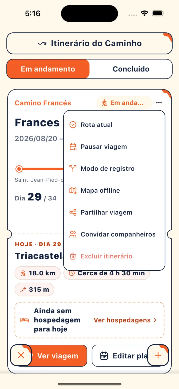 Menu aberto pelo botão “⋯” no canto superior direito do cartão da viagem, com “Mapa offline” no meio